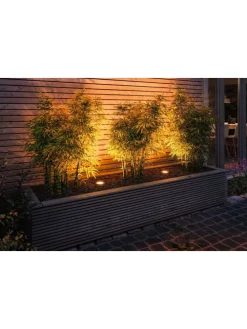 Standard 230V LED Reflektor Insektenfreundlich F