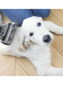 Staubsauger STC58 in Rot