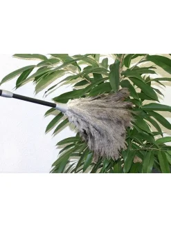 Straußenfederstaubwedel in Schwarz - (H)81 x Ø 20 cm