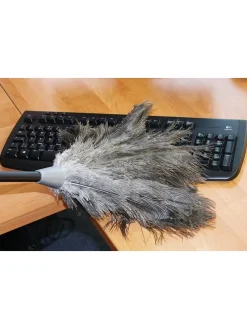 Straußenfederstaubwedel in Schwarz - (H)81 x Ø 20 cm