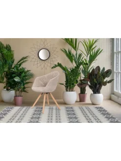 Stuhl Chadwick 2erSet in weiß - creme