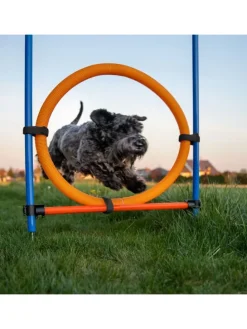 76-tlg. Agility Set in Blau/ Orange