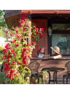 3tlg. Balkonmöbel Set in Bronze