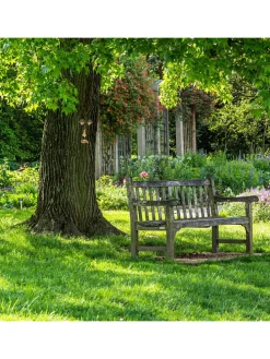 4tlg. Baumgesicht in Mehrfarbig
