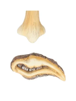 4tlg. Baumgesicht in Mehrfarbig