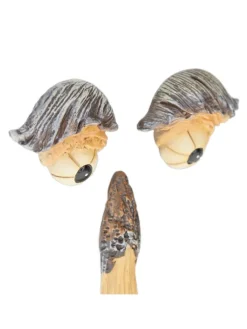 4tlg. Baumgesicht in Mehrfarbig