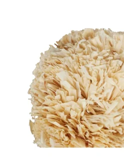 5-tlg. Hamsterzubehör in Natur