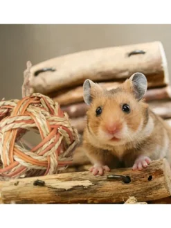 5-tlg. Hamsterzubehör Set in Natur