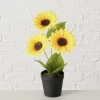 Topfpflanze "Sonnenblume" in Grün/ Gelb - (H)33 x Ø 25 cm