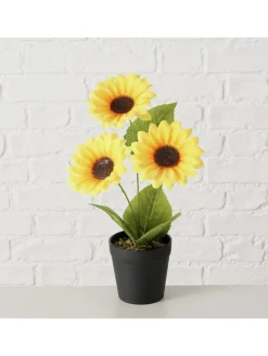 Topfpflanze "Sonnenblume" in Grün/ Gelb - (H)33 x Ø 25 cm