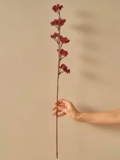 Trockenpflanze "Christmas Dal" in Rot - (H)75 cm