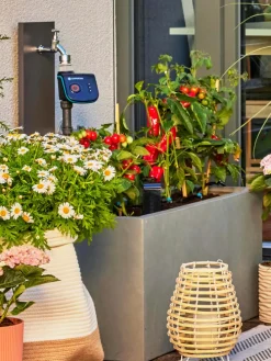 Tropfbewässerungssystem 