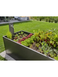 Tropfbewässerungssystem 