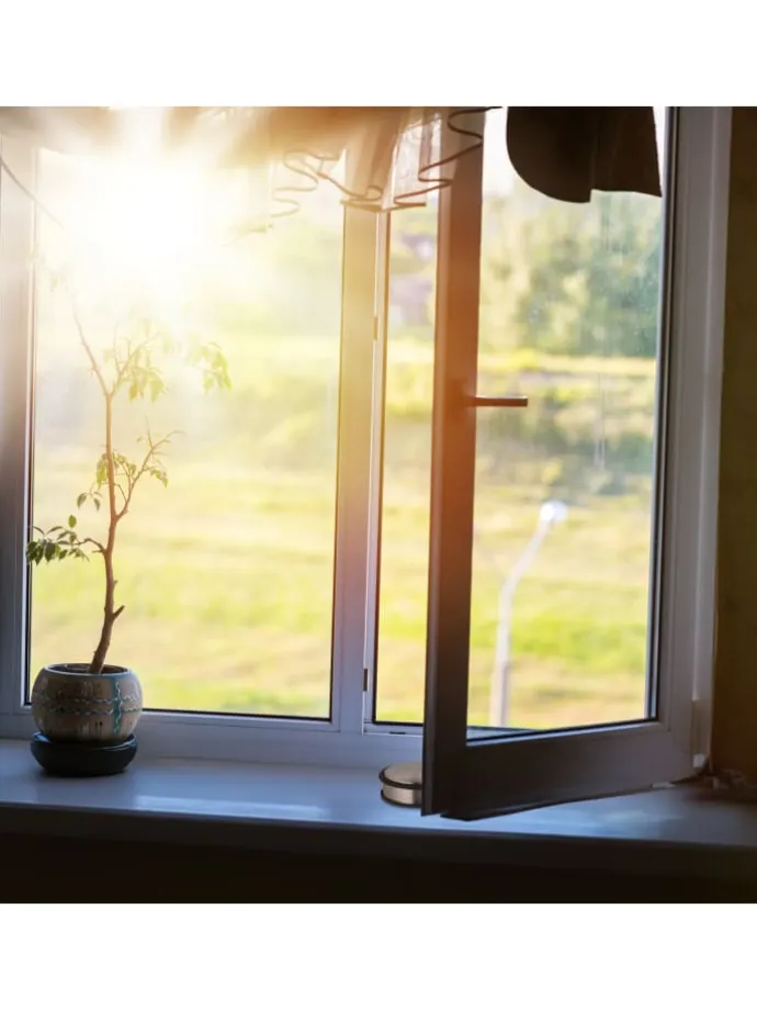 Türstopper in Bronze/ Schwarz - (H)4 x Ø 10 cm