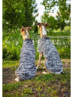 UV&Bug-Hundeshirt in Schwarz-Weiß