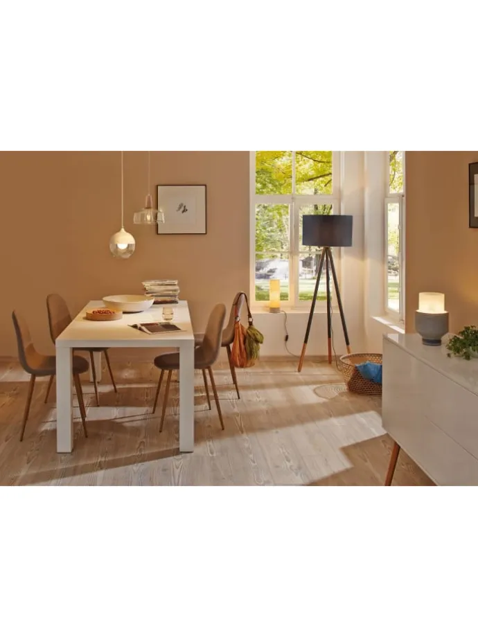 Vintage Edition Standard 230V LED Birne F