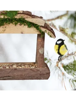 Vogelfutterhaus in Natur