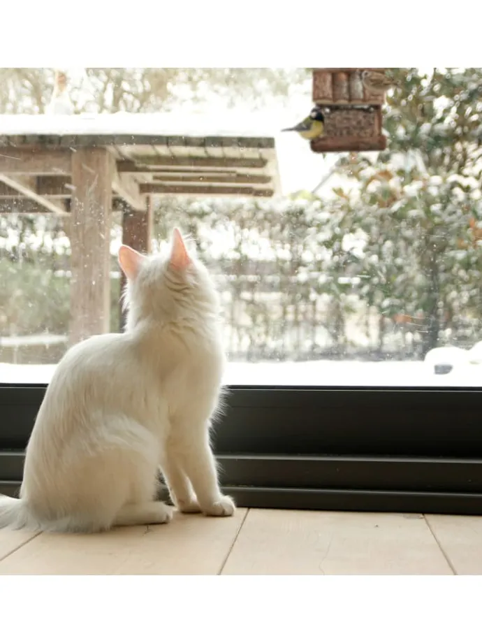 Vogelfutterhaus in Natur