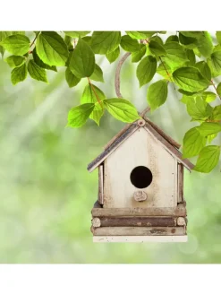 Vogelhaus in Natur - (B)18x (H)32 x (T)14,5 cm