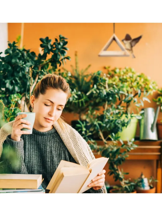 Vogelhaus in Natur - (B)23,5x (H)16 x (T)12 cm