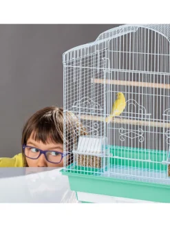 Vogelkäfig in Grün - (B)46,5 x (H)56,5 x (T)35,5 cm