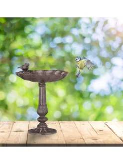Vogeltränke Antik in Braun