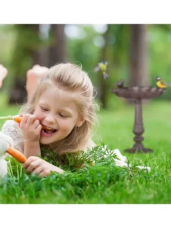 Vogeltränke Antik in Braun