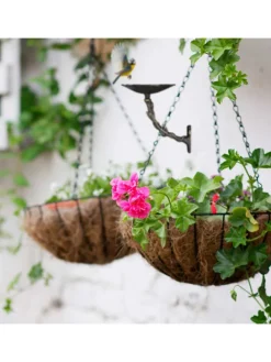 Vogeltränke Blütein Weiß