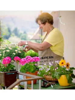 Vogeltränke Blütein Weiß