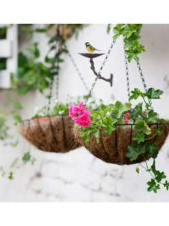 Vogeltränke Gusseisen in Braun