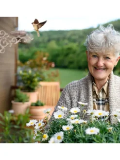 Vogeltränke in Bronze - (B)28x (H)24 x (T)14 cm