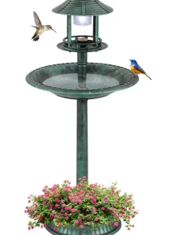 Vogeltränke mit Solarleuchte in Grün