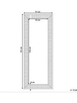 Wandspiegel CASSIS in Silber/Gold - (W) 51 x (H) 141 x (L) 4 cm
