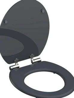 WC-Sitz mit Absenkautomatik 