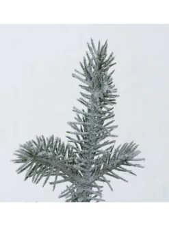 Weihnachtsbaum Mika in grün