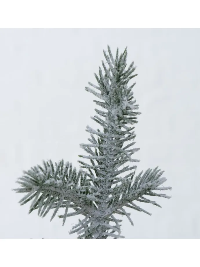 Weihnachtsbaum Mika in grün