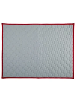 Welpen-Trainingsmatte in Grau - (L)60 x (B)45 cm