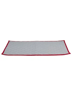 Welpen-Trainingsmatte in Grau - (L)60 x (B)45 cm