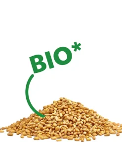 Wärmekissen für Nacken/Schulter 