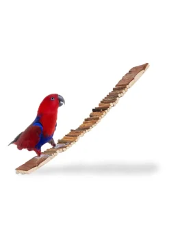 10x Hängebrücke in Natur - (B)55 x (T)10 cm